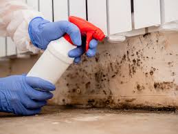 Mold Removal Services